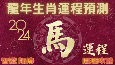 肖馬|2024屬馬幾歲、2024屬馬運勢、屬馬幸運色、財位、禁忌